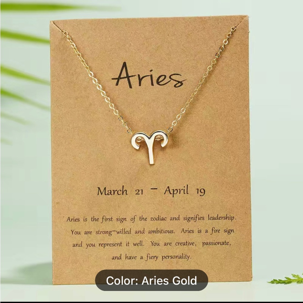 NWT Aries Necklace ♈️